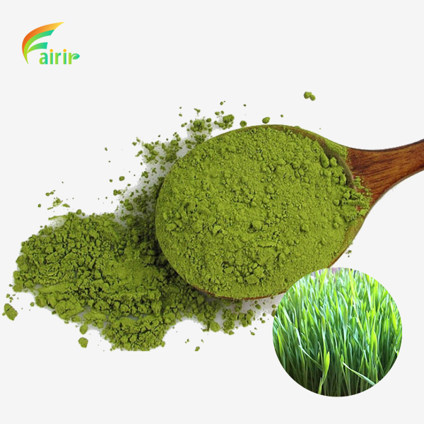 Organic Barley Leaf Powder